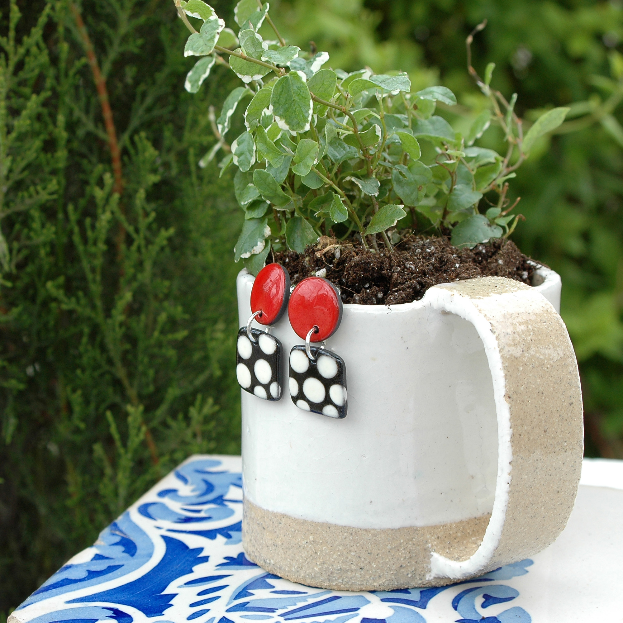 DSC_0808bis DSC_0808bis